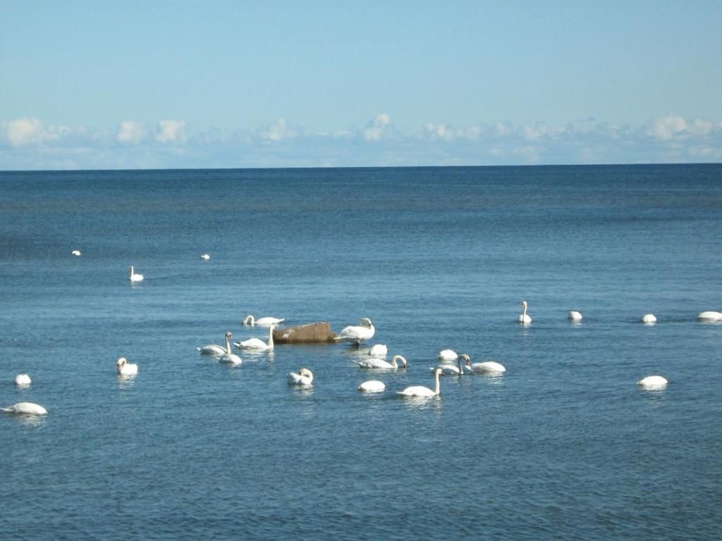 Кемпинги Seaside camping Bralisi Энгуре-7